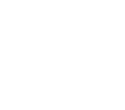 rotterdam film festival
