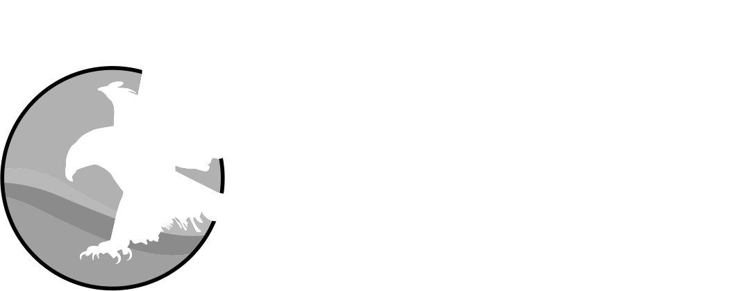 Lusaka International Film Festival
