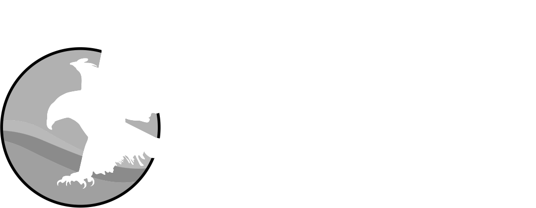 LUSAKA INTERNATIONAL FILM FESTIVAL