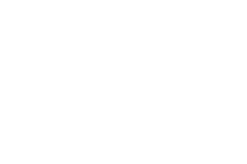 NYC FILM FEST